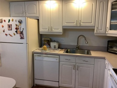 Impecable and beautiful 1/1 1/2 bath condo, penthouse unit in