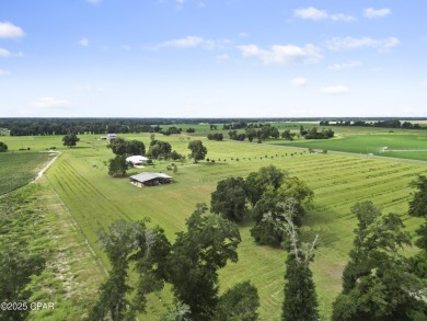 Custom-designed and built Country Estate on 12 acres. This newer