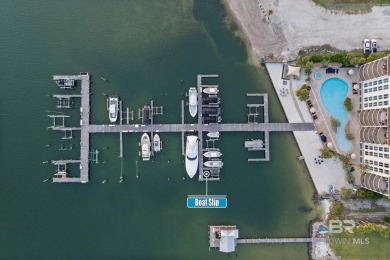 Welcome to The Yacht Club at Terry Cove--one of Orange Beach's