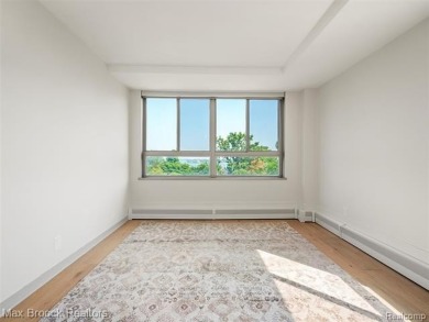 Detroit High Rise Luxury on the River: Completely Designed and