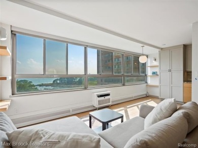 Detroit High Rise Luxury on the River: Completely Designed and