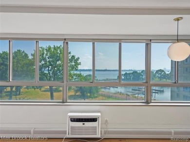 Detroit High Rise Luxury on the River: Completely Designed and