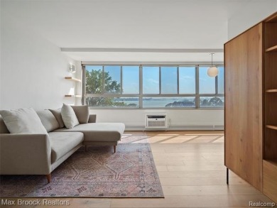 Detroit High Rise Luxury on the River: Completely Designed and