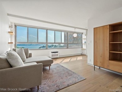 Detroit High Rise Luxury on the River: Completely Designed and