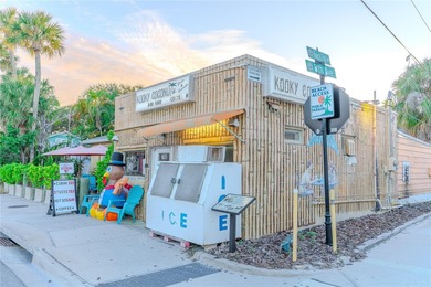 Stunning Modern Townhome in Indian Rocks Beach - 94 The Cove Way