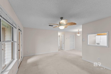 Welcome to Parkview Condos in Gulf Shores! This 2-bedroom
