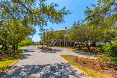 Newly remodeled 3 Story home with Elevator and many Custom