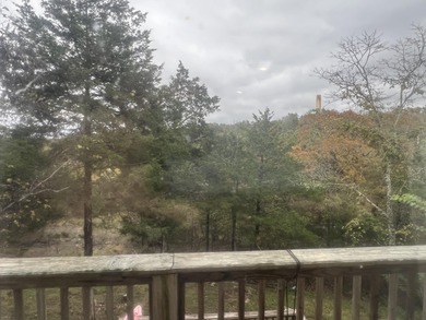 Rare Find in the Highlands of Branson! Discover this spacious