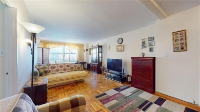 Best Coop in South Brooklyn - Seacoast Terrace  Bright Studio on