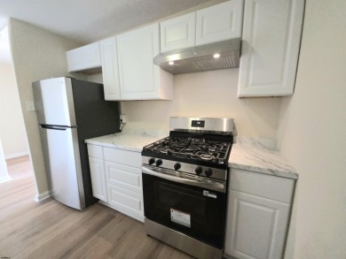Fully Renovated & Move-In Ready! Spacious 1BR/1BA condo in Lower