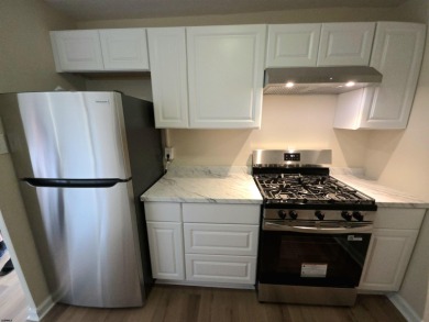 Fully Renovated & Move-In Ready! Spacious 1BR/1BA condo in Lower