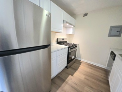 Fully Renovated & Move-In Ready! Spacious 1BR/1BA condo in Lower