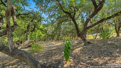 Enjoy Hill Country living in this lovely 3-bedroom, 2-bath home