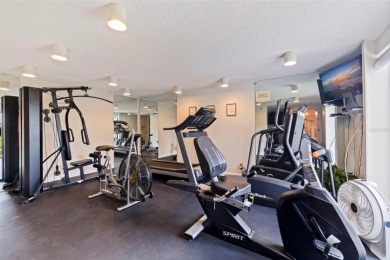 UNOBSTRUCTED VIEWS OF TAMPA BAY & THE SKYWAY BRIDGE from every