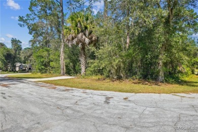 Tucked away on a VERY INTIMATE and ISOLATED.55-acre corner lot