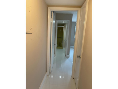 Bright and open, ready to move in two bedrooms-two baths condo