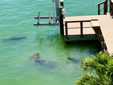 Exceptional Waterfront Retreat with Every Upgrade Imaginable --