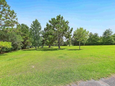 This Monticello gem truly has it all! Situated on 1.8