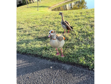 Top floor living, at the community of Cascades of Lauderhill