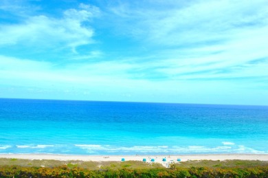 This thoughtfully re-designed and meticulously executed