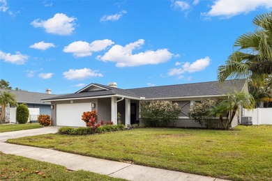 Welcome home to 2420 Osprey Ave, Palm Harbor, FL 34683. Totally