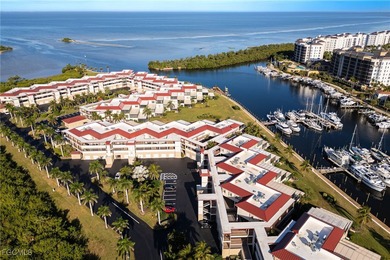 Welcome to Marina Southshore, the premier waterfront enclave