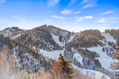 There are homes in Aspen that feel appropriate for the mountains
