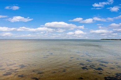 This charming bay facing studio condo, situated in the heart of