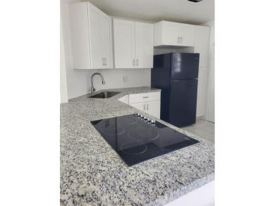 Spacious Fully Renovated 2-Bed/2-Bath Apartment with Lake View -