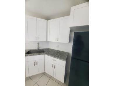 Spacious Fully Renovated 2-Bed/2-Bath Apartment with Lake View -