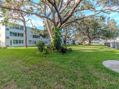 Charming 55+ Condo in Prime St. Petersburg Location!

Discover