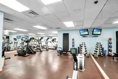 The best address in Tampa, on iconic Bayshore Boulevard