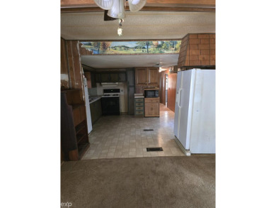 Older (2002) mobile home in a nice, quiet neighborhood on dead