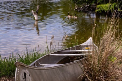 Experience the endless potential of this stunning lakefront