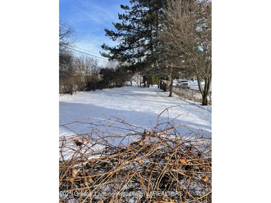 Spacious brick ranch, large rooms, 2 fireplaces. Home needs TLC