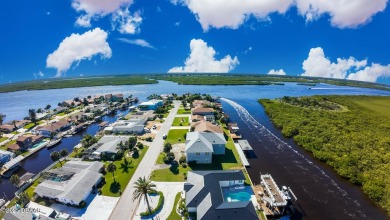 Welcome to your riverfront paradise on the Halifax River canal!