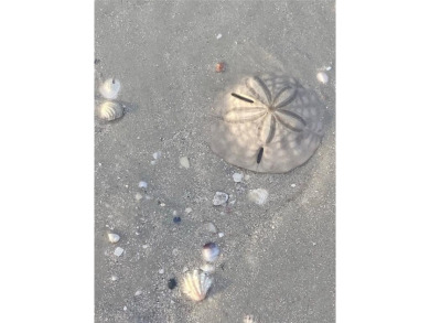 Welcome to Waterside, one of Southwest Florida's most coveted