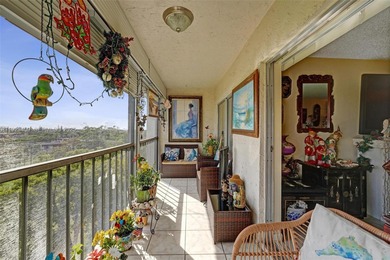 Luxury Living with Panoramic Views: A Must-See Opportunity
