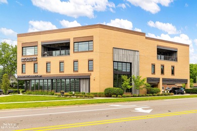 PENTHOUSE CONDO IN ROCHESTER MI - Absolutely beautiful and