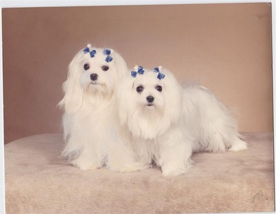 BREATHTAKING OCEAN VIEWS FROM EVERY ROOM!  Totally remodeled