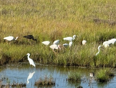 Find your waterfront home here, on beautiful S Boca Bay Ln
