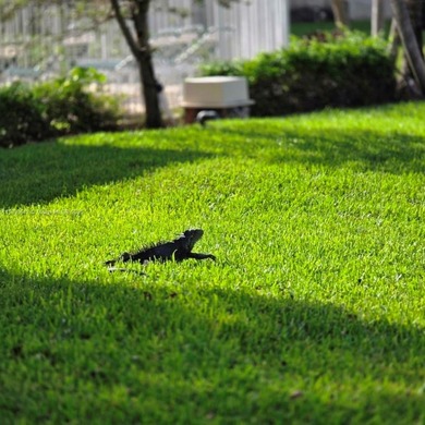 The community offers a breathtaking views of the canal and