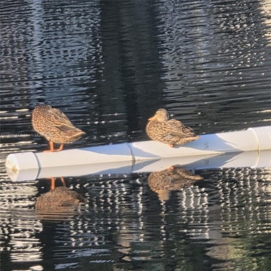 The community offers a breathtaking views of the canal and