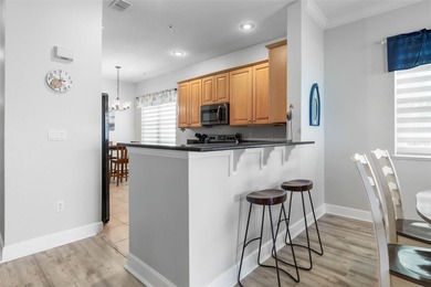 Welcome to 800 Cinnamon Beach Way #721, an oceanfront