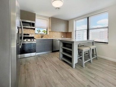 Welcome to this stunning duplex 3-bedroom, 3-bath penthouse with