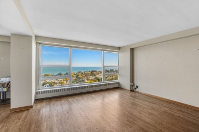 Experience lakefront living at its finest in this stunning