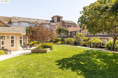 Hello, Downtown Oakland! 555 10th St #315 is a perfectly