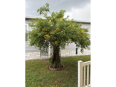 Welcome to your new home in a GATED 55+ community, offering the