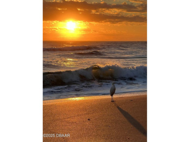 Calling all investors, handymen, and dreamers! This 2-bedroom