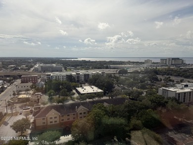 RIVER VIEWS from every room, all the way up on the 17th floor!